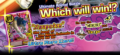 Ultimate Animal Battle Which will win!?
